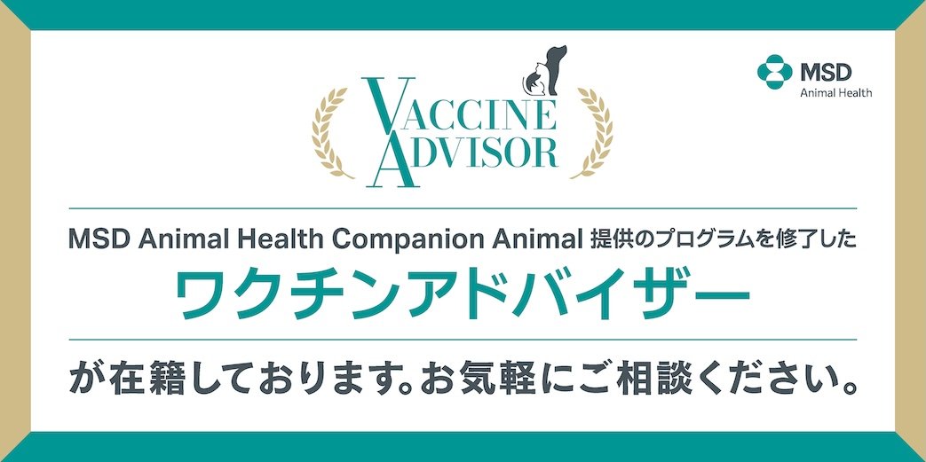 MSD Animal Health Companion Animal ワクチンア ドバイザー在籍